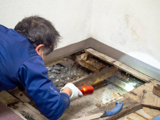 Water Damage Restoration in Frontenac, KS