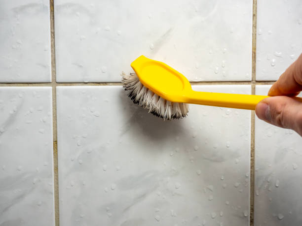  Frontenac, KS Mold Removal Pros