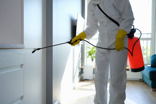 Best Water Damage Restoration  in Frontenac, KS