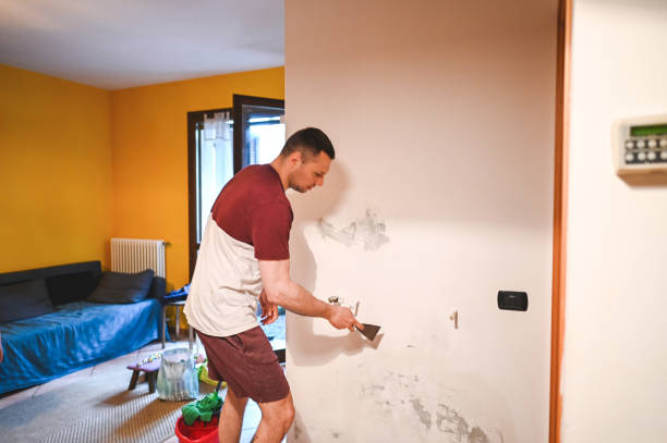 Best Fast Mold Removal  in Frontenac, KS
